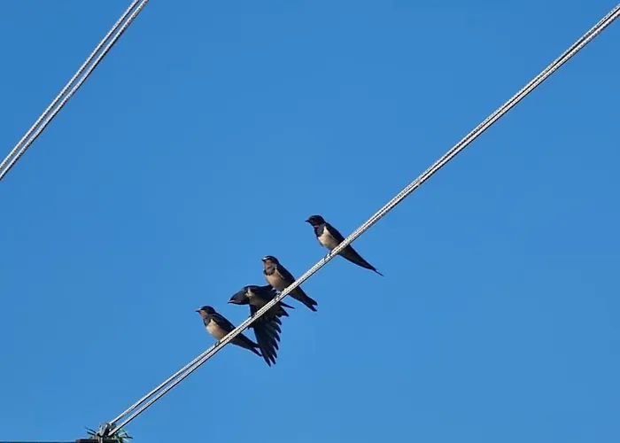 Minhen Apartamento Muntić